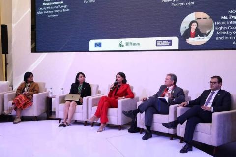 Հայաստանը պետք է ընդունի հակա-SLAPP օրենսդրություն․ Անահիտ Մանասյան