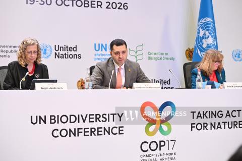 COP17-ի երկրորդ շաբաթը պետք է ցույց տա, որ քաղաքական հանձնառությունը կարող է վերածվել գործողությունների․  Համբարձում Մաթևոսյան