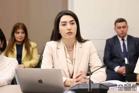 Глава МВД представила положительную позицию правительства относительно законодательного пакета о предотвращении семейного и бытового насилия