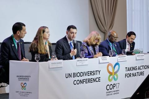 COP17-ի շրջանակում ՀՀ-ն ներկայացրել է իր նոր նախաձեռնությունը՝ Կենսաբազմազանության մոնիթորինգի Երևանի տեխնոլոգիական կենտրոնը