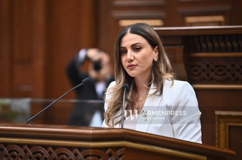 Ընտանիքում բռնությունը չունի քաղաքական պատկանելություն․ Արուսյակ Մանավազյան