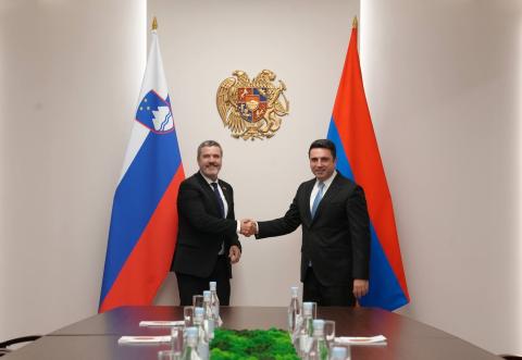 Alen Simonyan, Slovenya Dış ve Avrupa İşleri Bakanı ile görüştü