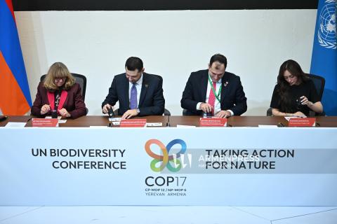 Մարվեց և շրջանառության մեջ դրվեց COP17-ի թեմային նվիրված մեկ նամականիշով նոր գեղաթերթիկ