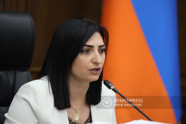 Member of Parliament Taguhi Tovmasyan's press conference 