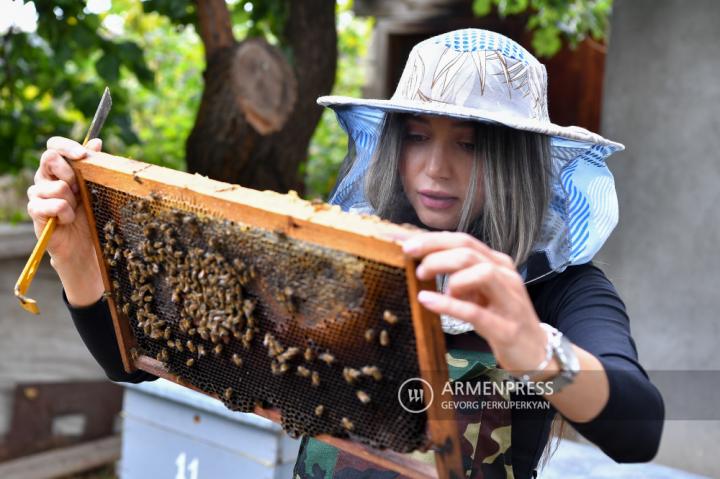 Genç arıcı kız arıların heyecan verici dünyayı keşfetme 
yolunda