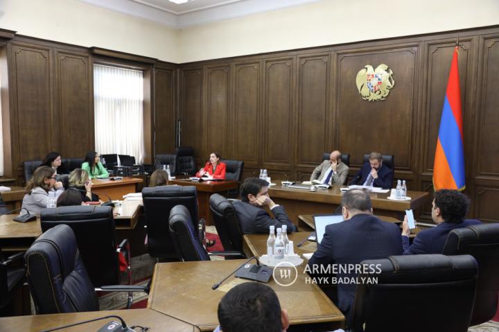 Ermenistan Parlamentosu’nda sağlık sorunları ile mali kredi 
ve bütçe konularındaki daimi komitelerinin ortak oturumu