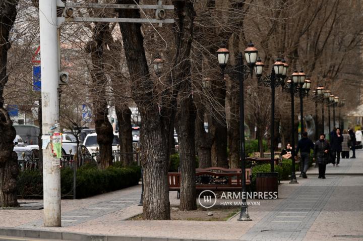 Yerevan'ın bazı caddelerindeki ağaçlar değiştirilecek
