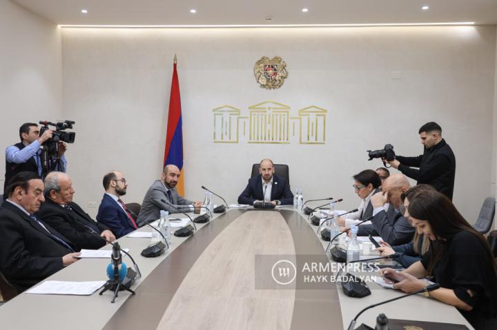 Ermenistan Parlamentosu Bilim, Eğitim, Kültür, Diaspora, 
Gençlik ve Spor Daimi Komitesi oturumu