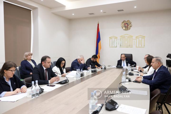 Ermenistan Parlamentosu'nda komisyon oturumu