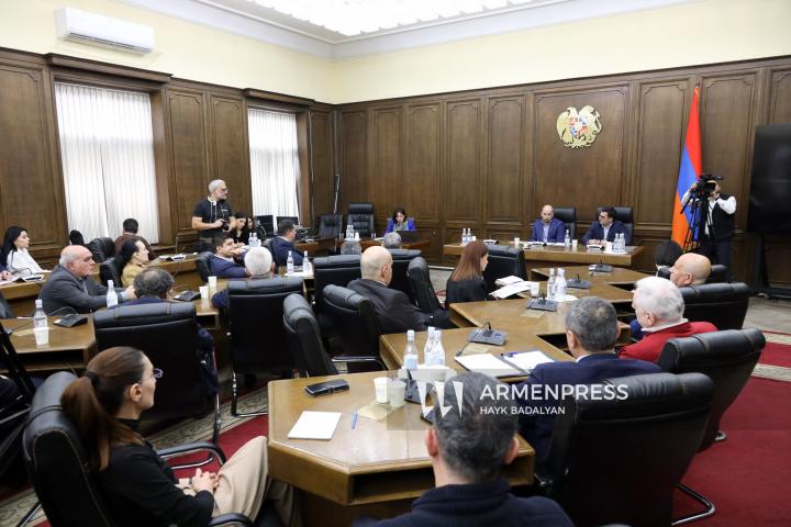 在国家议会举行议会听证会