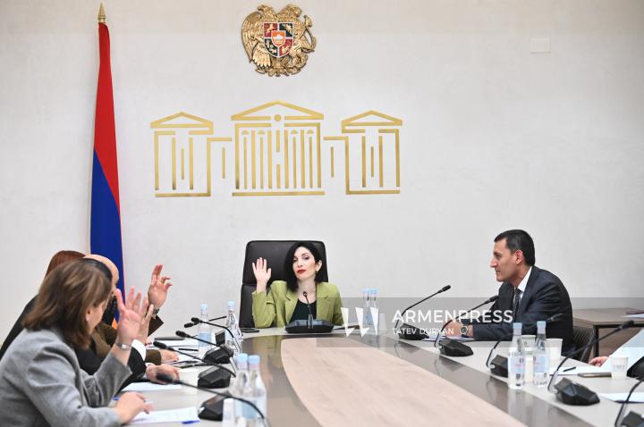 Session of the Parliamentary Committee on Science, Education, Culture, Diaspora, Youth, and Sports Affairs