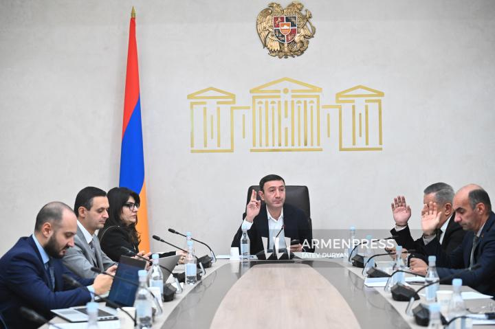 National Assembly Economic Affairs Committee meeting