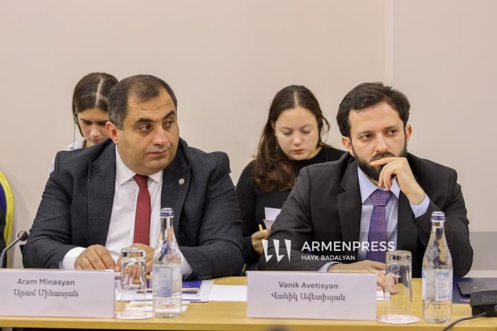 Արամ Մինասյան, Վանիկ Ավետիսյան