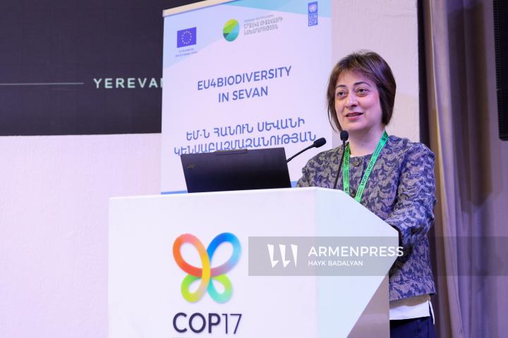 COP17. «ԵՄ-ն հանուն Սևանի կենսաբազմազանության պահպանության. Սևանա լճի էկոհամակարգի վերականգնման բարելավում» (EU4BiodiversityinSevan) ծրագրի մեկնարկը