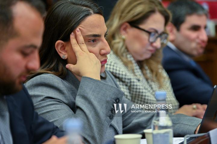 ՀՀ ազգային ժողովի հերթական քառօրյա նիստը