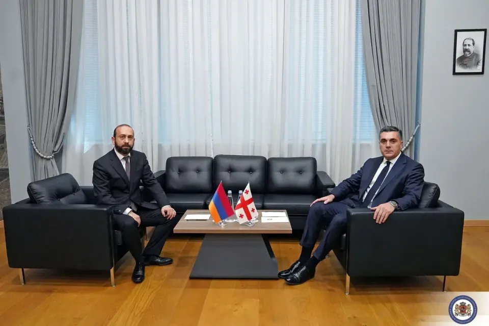 Միրզոյանը հայտնել է Հայաստանի և Վրաստանի միջև սահմանազատումն ավարտին հասցնելու հստակ փոխըմբռնման մասին