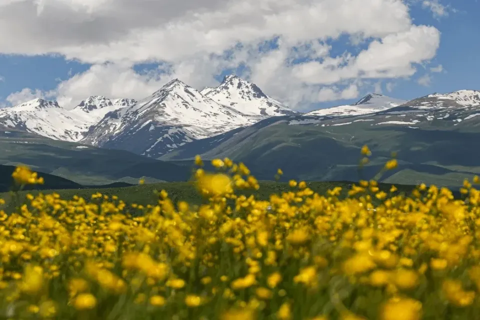 Հայաստանը կմասնակցի FITUR 2026 միջազգային զբոսաշրջային ցուցահանդեսին