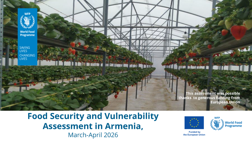 Հայաստանի տնային տնտեսությունների պարենային ապահովությունը աճ է գրանցել