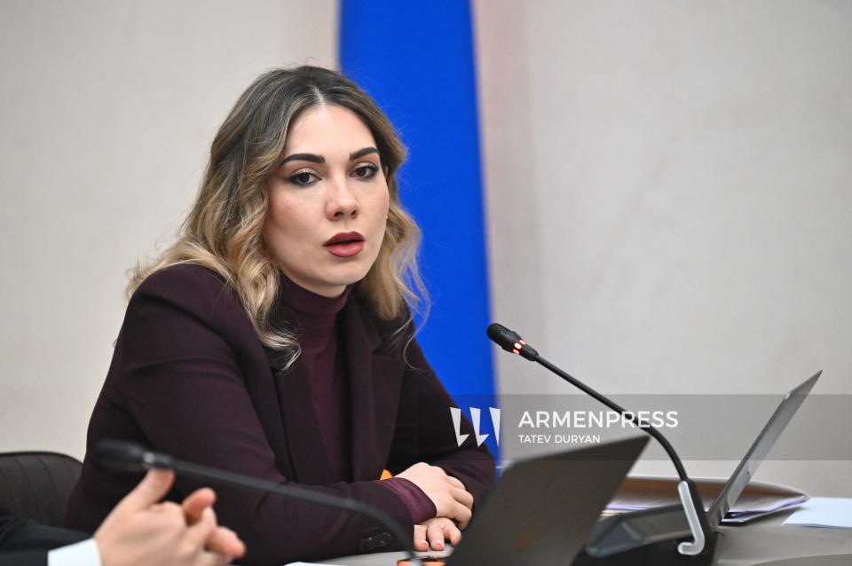 Մենք պետք է սահմանադրական հիմքեր ունենանք ենթադրյալ հանցանքներ թույլ տված քաղաքական ուժերին ընտրական պրոցեսին մասնակցելուց զրկելու համար. Գալյան