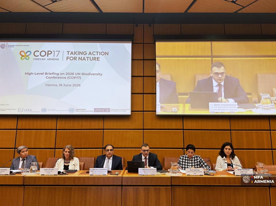 Armenia presents COP17 preparations at UN briefing in Vienna
