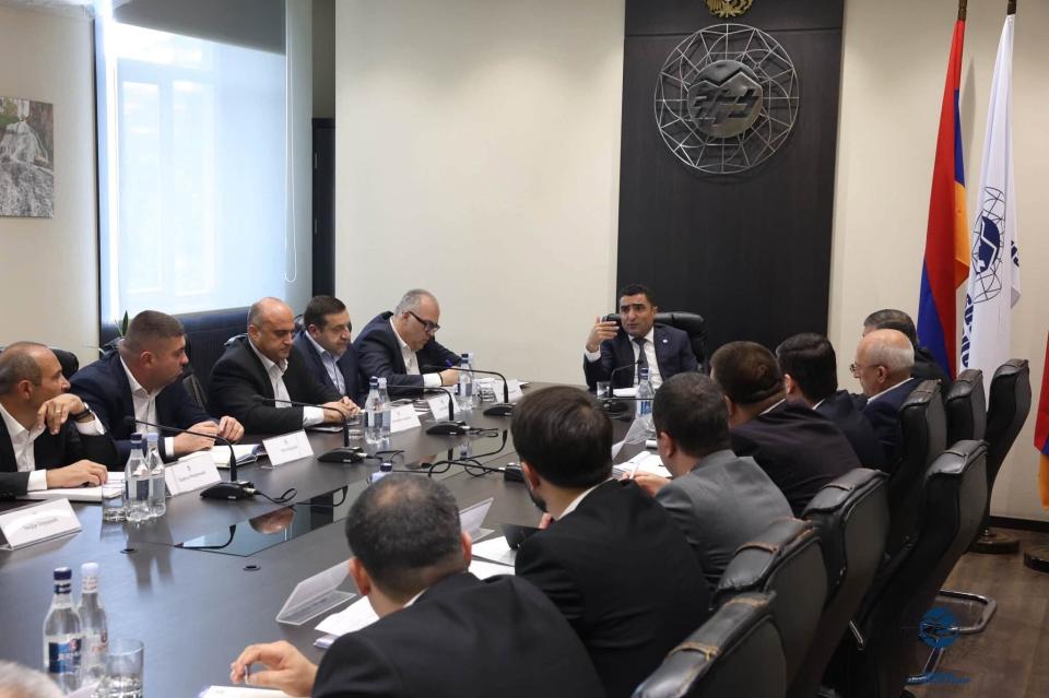 Government to declare 100% stake in Electric Networks of Armenia subject to overriding public interest in coming weeks