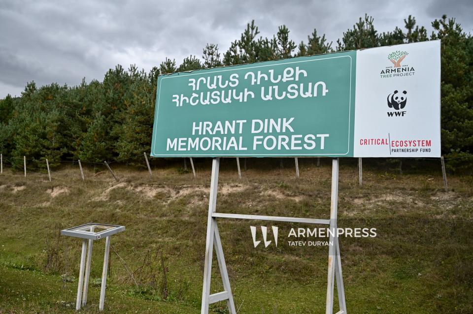 В лесу памяти Гранта Динка высажено 53 000 деревьев: территория будет передана общине Фиолетово в 2027 году