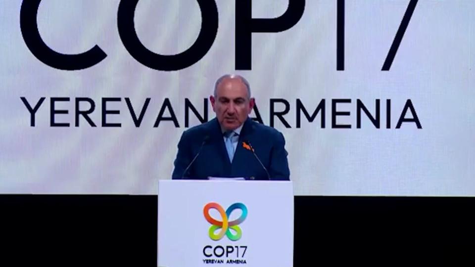 ՀՀ վարչապետի ելույթը COP17-ի բացման արարողությանը