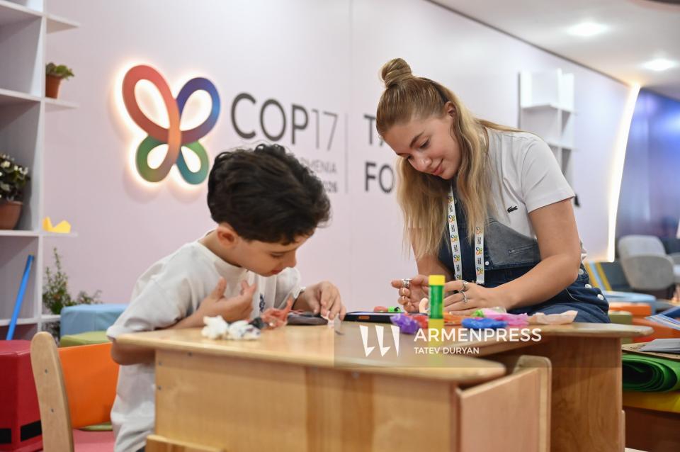 COP17: Educational Zone