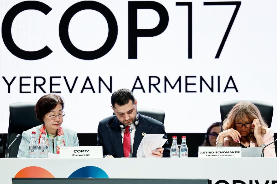COP17 final formal plenary sessions underway