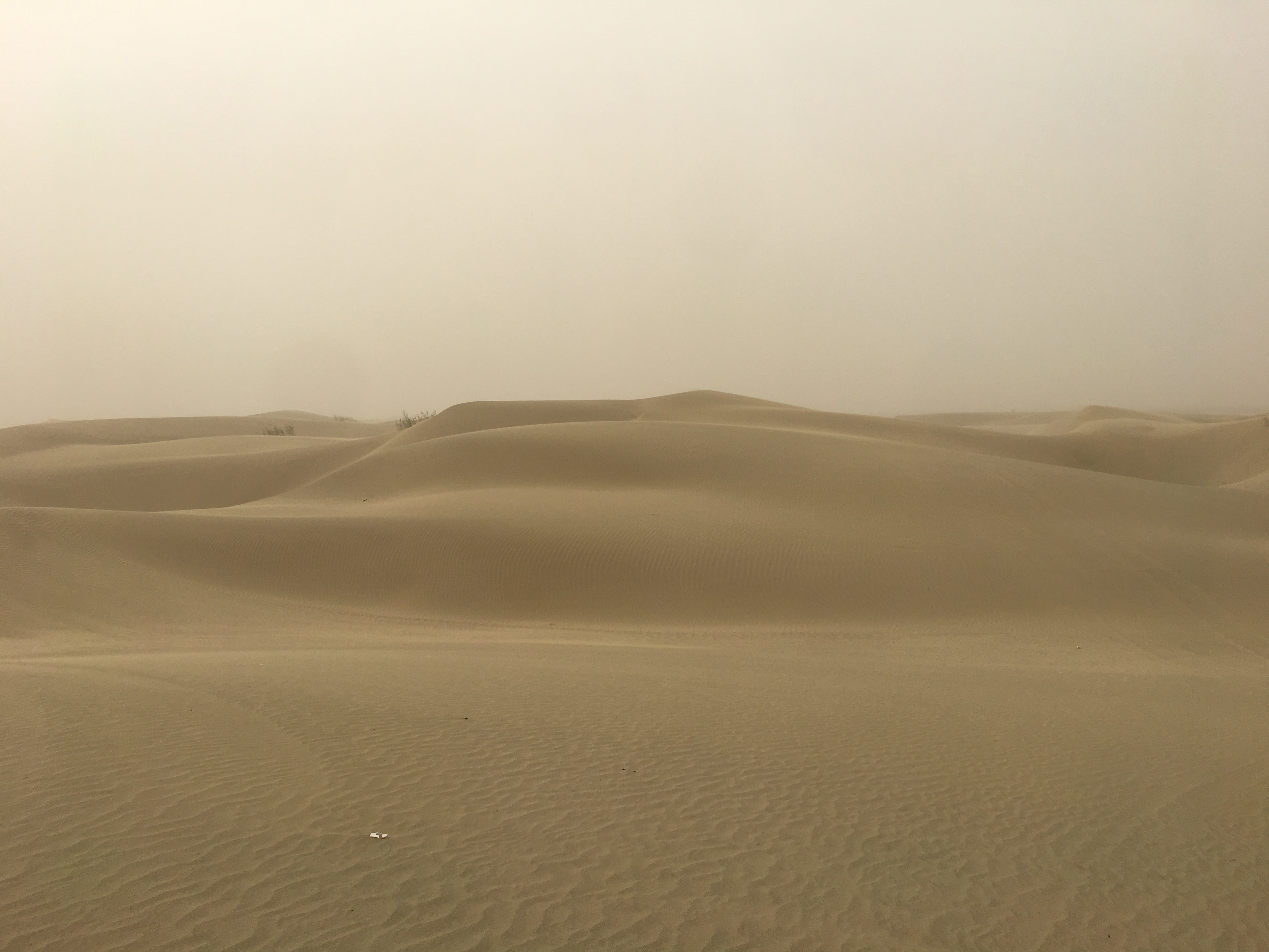 Taklamakan Desert.JPG (1.40 MB)