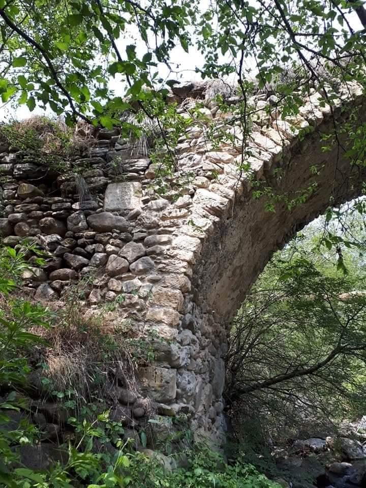 354049161_591712609766012_667708931494469595_n.jpg (151 KB)