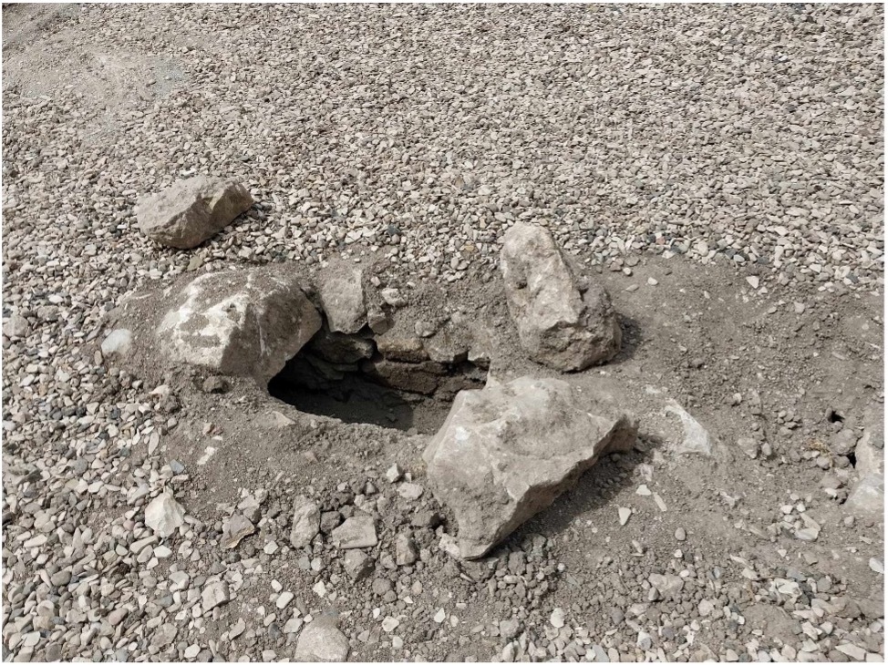 Amaras-2.jpg (390 KB)