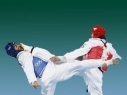 Armenian Taekwondo Federation intends to conduct a big international tournament in Armenia