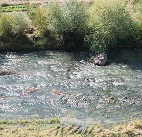 ՀԷԿ-երը վտանգում են Արփա գետը