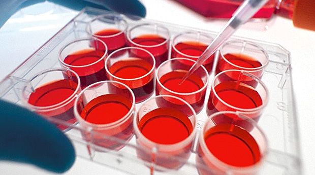 Ученые сумели получить стволовые клетки из крови