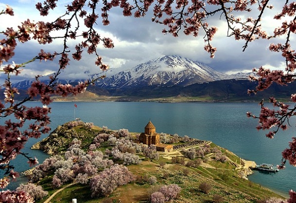 Apricot and almond trees blossomed on Akhtamar Island of Lake Van   