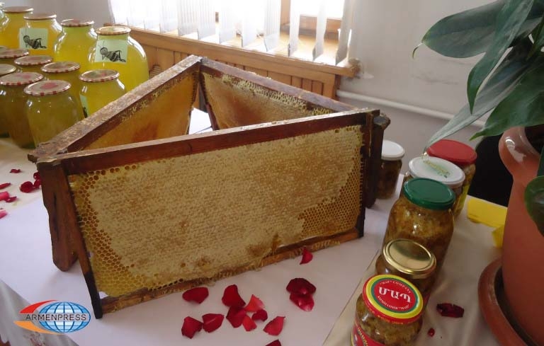 “Honey and berries festival of Shamshadin” can host up to 10 000 visitors 
