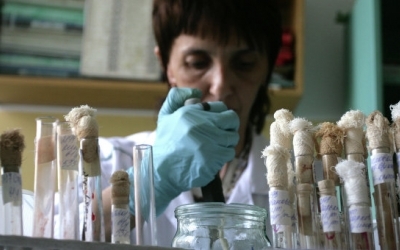 Սիեռա Լեոնեում արտակարգ դրության ռեժիմ Է հայտարարվել Էբոլա տենդի վիրուսի տարածման պատճառով