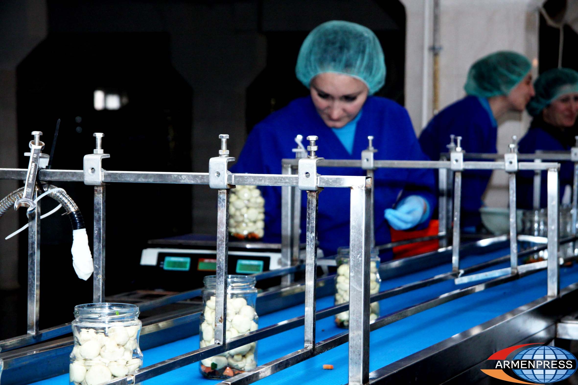 Mushroom producing company offers exclusive cultivation method
