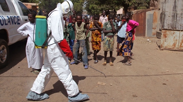 ВОЗ: эпидемия Эболы близится к завершению