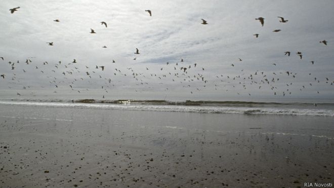 50-ից ավելի մարդ Է զոհվել Օխոտի ծովում «Դալնի Վոստոկ» ուռկանանավի խորտակվելու հետեւանքով
