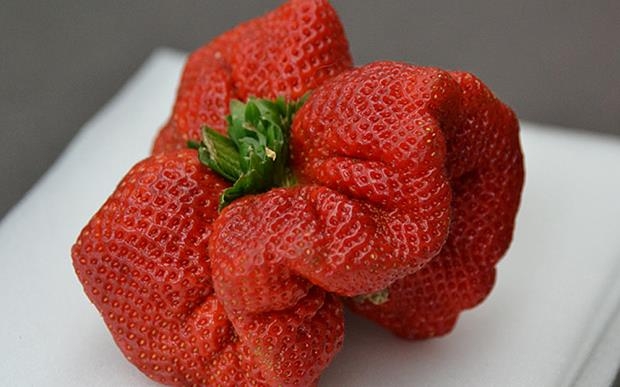 Giant strawberry in Japan breaks the UK's world record
