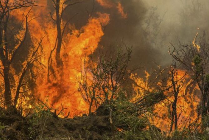 В американском штате Калифорния из-за лесного пожара эвакуируются три района