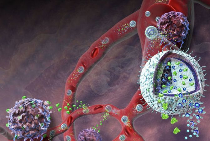 Биологи: рак может возникать из-за "дисбаланса" белков в клетках