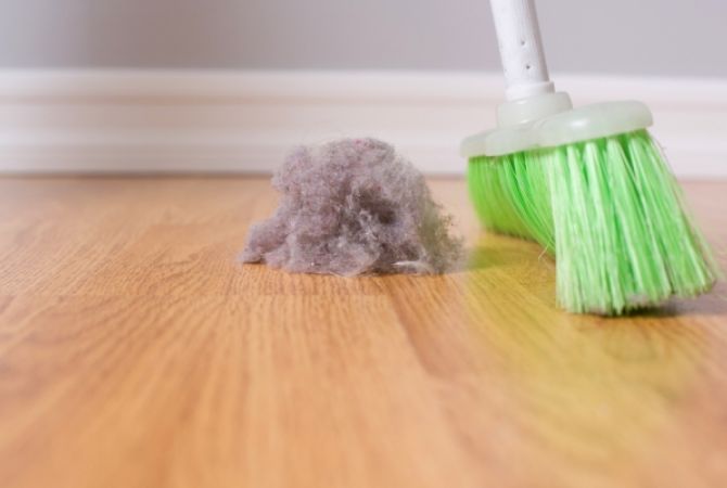 9,000 different species of microbes found in home dust