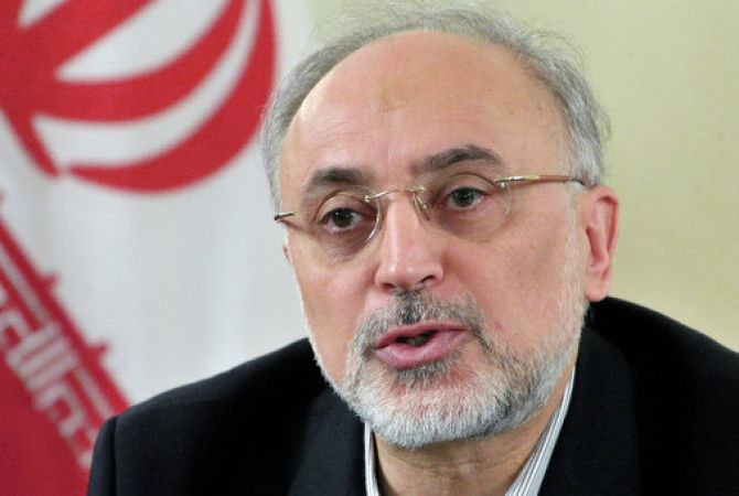 Tehran hopes conflict between IAEA and Iran will be resolved by end of 2015