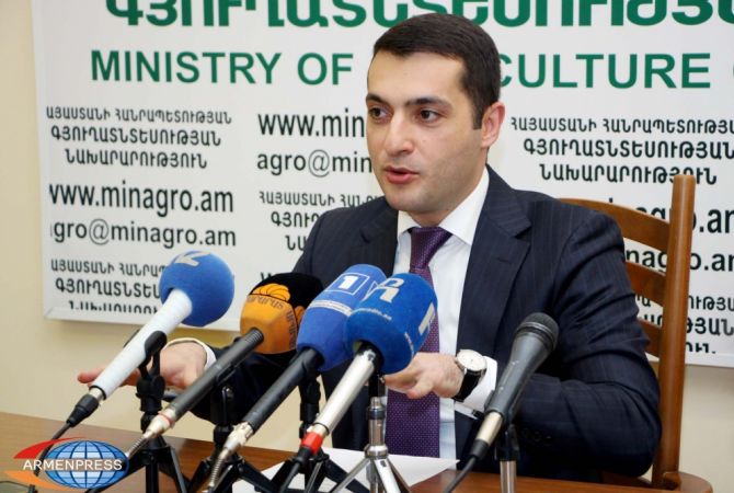 ԵԱՏՄ աշխատանքային խմբերը քննարկում են թուրքական գյուղմթերքի բացակայությունը 
Միության անդամ երկրների միջոցով լրացնելու հարցը