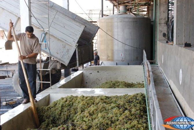 Project promoting grape vodka production will also solve issue of grape growers: Hovik 
Abrahamyan