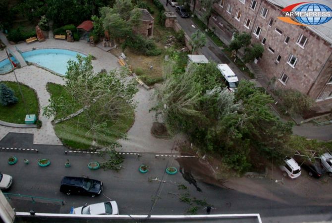 В результате сильного ветра в Ереване пострадали 7 человек, которые были перевезены 
в медицинские учреждения