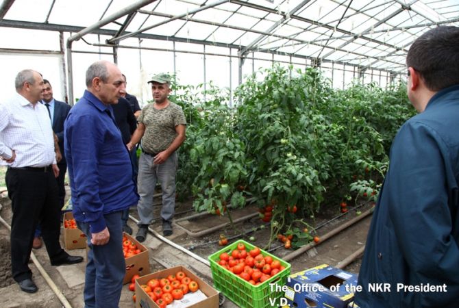 Bako Sahakyan got acquainted with agricultural activities in the Askeran region